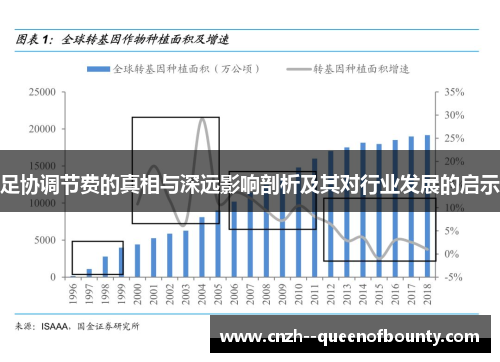 足协调节费的真相与深远影响剖析及其对行业发展的启示
